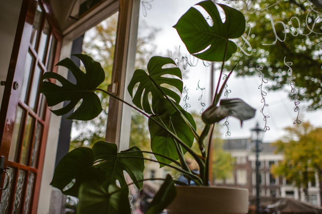 Elderflour Guesthouse & Microbakery Schiedam Ngoại thất bức ảnh